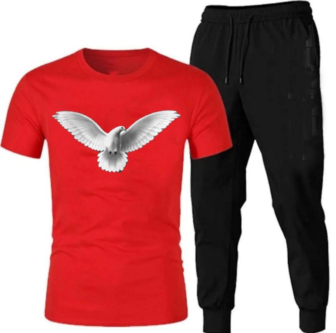 Men's Cotton Printed Track Suit - 2 Pcs Set (T-Shirt & Trouser)